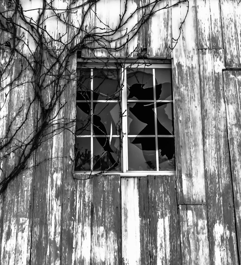 Weathered Window #2 Photograph by Brian Stevens