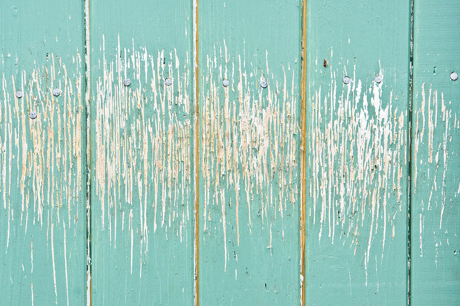 Vintage Photograph - Weathered wood #2 by Tom Gowanlock
