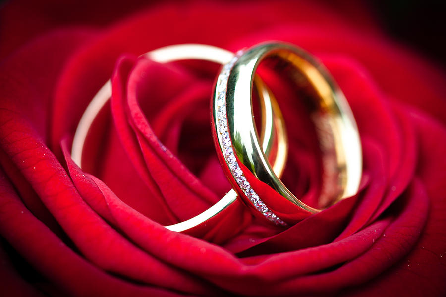 Wedding Rings #2 Photograph by Ralf Kaiser