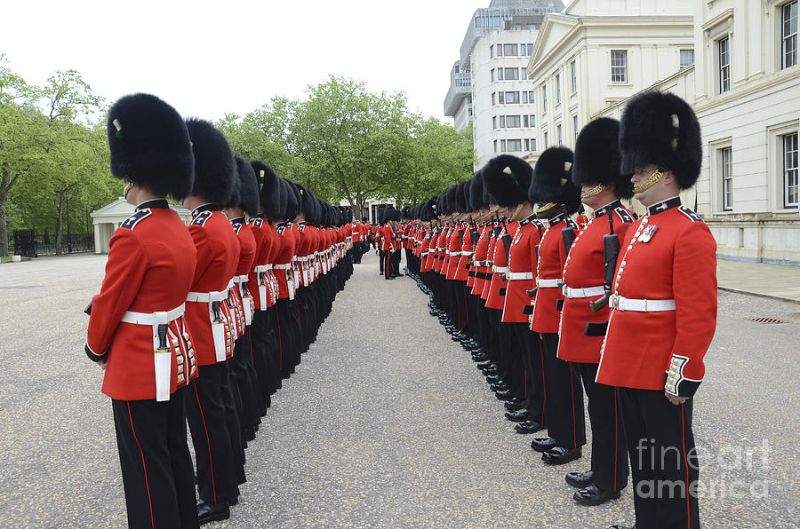 Welsh Guards Stand In Formation #2 Photograph by Andrew Chittock