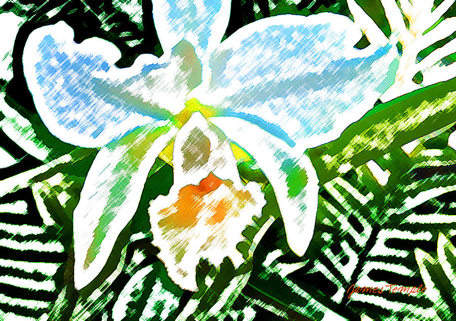 White Orchid #2 Digital Art by James Temple