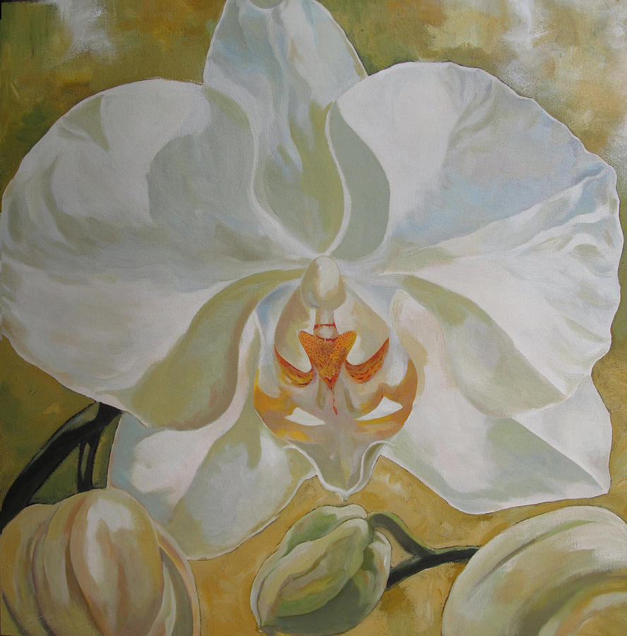 White Phalaenopsis Orchid #2 Painting by Alfred Ng