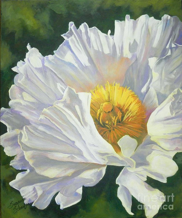 White Poppy Painting by Suzanne Schaefer