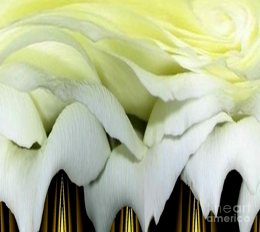 Rose Photograph - White Rose Polar Coordinates #2 by Rose Santuci-Sofranko