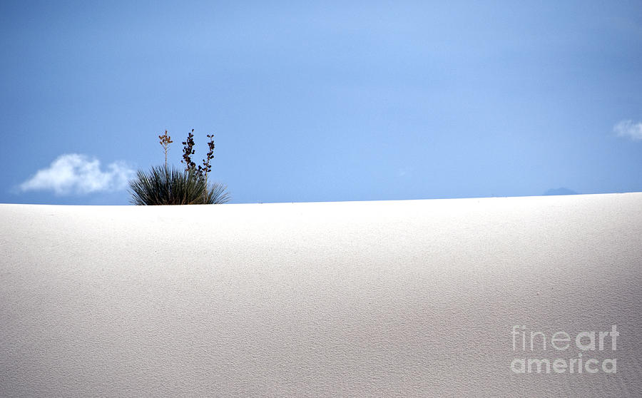 White Sand Dunes #2 Photograph by Milena Boeva