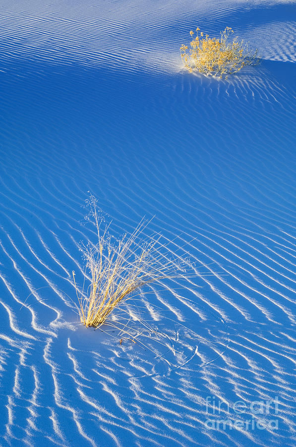 White Sands #2 Photograph by John Shaw