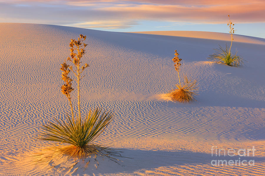 White Sands National Monument #2 Photograph by Henk Meijer Photography