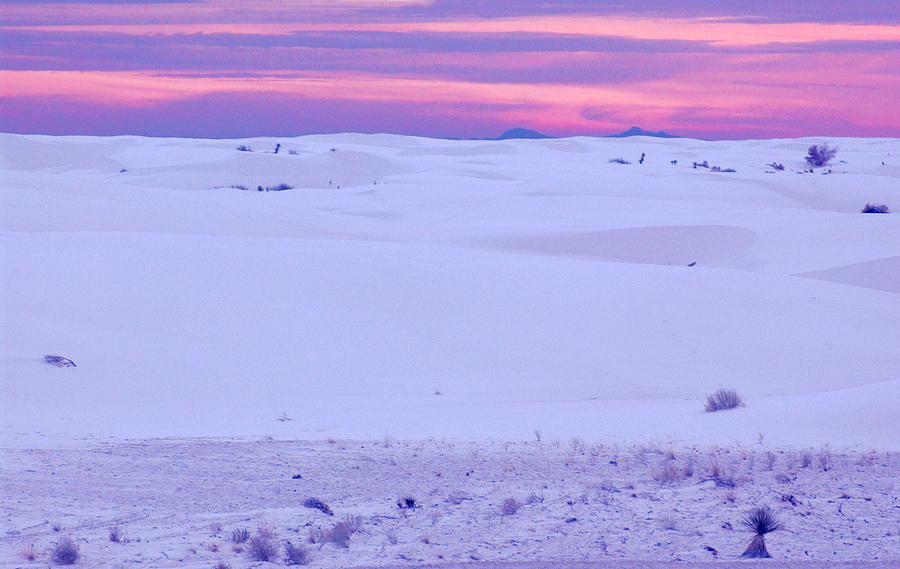 White Sands New Mexico #2 Photograph by Bob Pardue