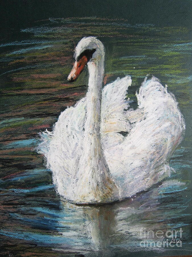 White Swan Painting by Jieming Wang