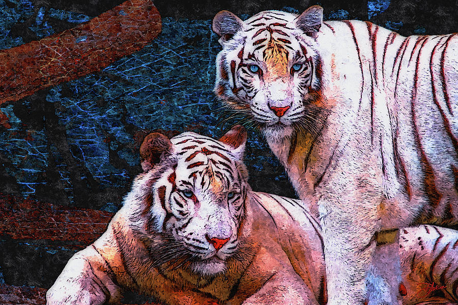 White Tigers Mixed Media - White Tigers by Dancin Artworks