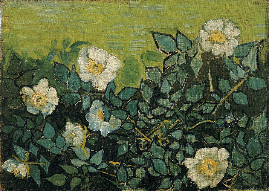 Wild Roses #6 Painting by Vincent van Gogh