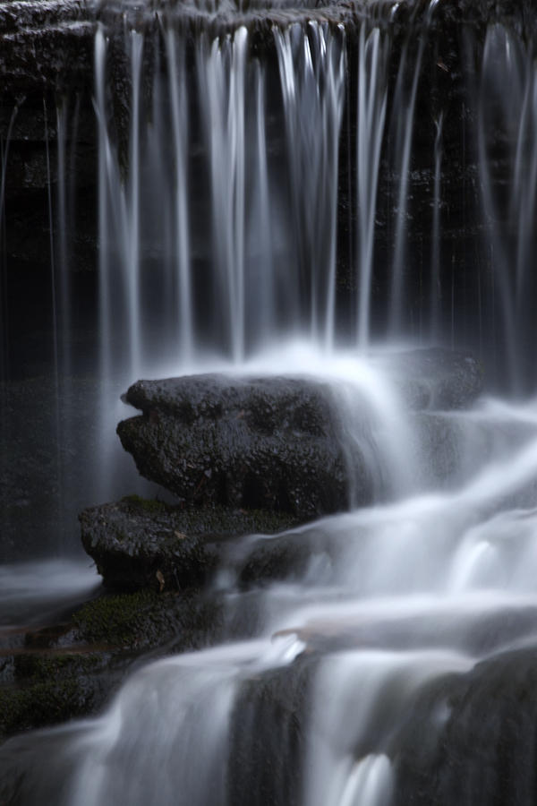 Wilderness Waterfall #2 Photograph by Lone Palm Studio