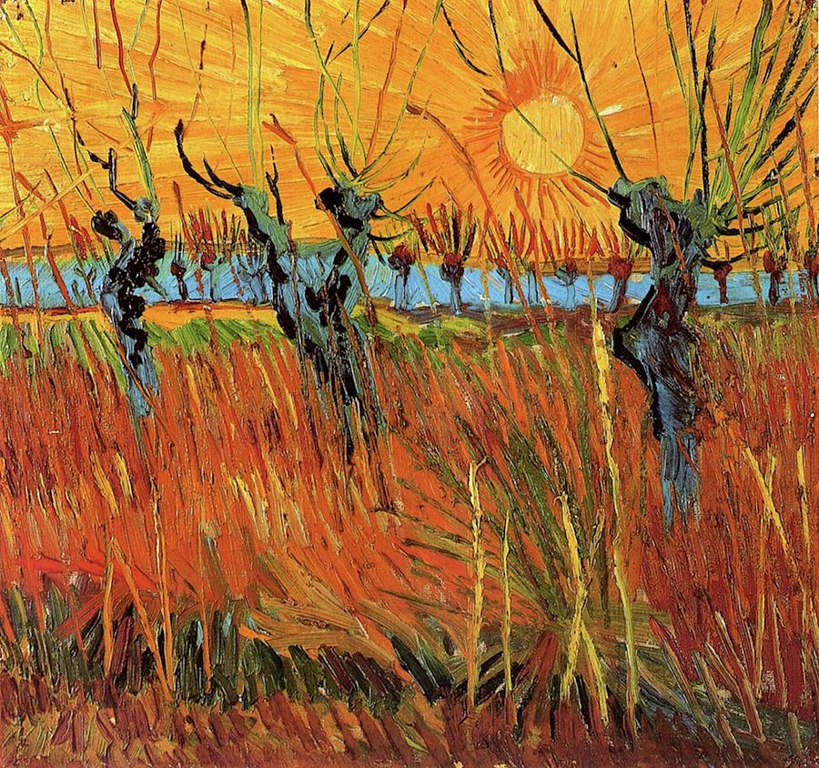 Willows at Sunset Painting by Vincent van Gogh