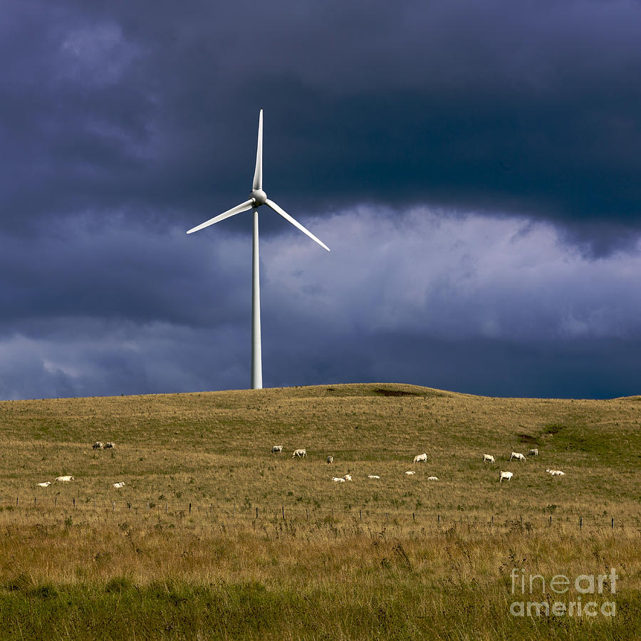 Farm Photograph - Wind turbine  #2 by Bernard Jaubert