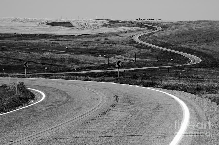 Winding Road in Black and White Photograph by Sue Smith