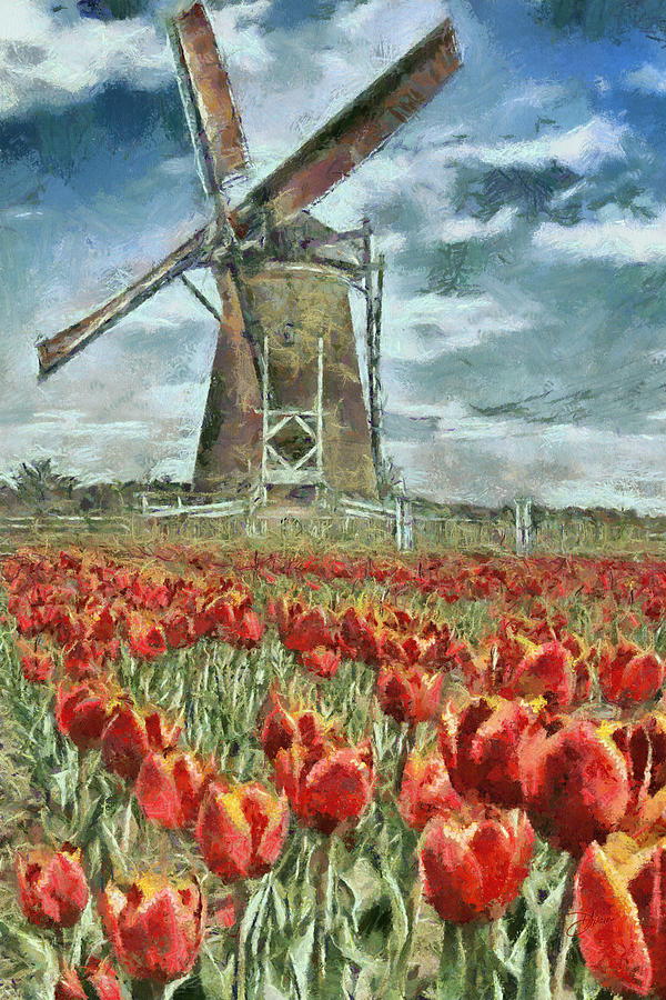 Tulip Painting - Windmill and Tulips by Dancin Artworks