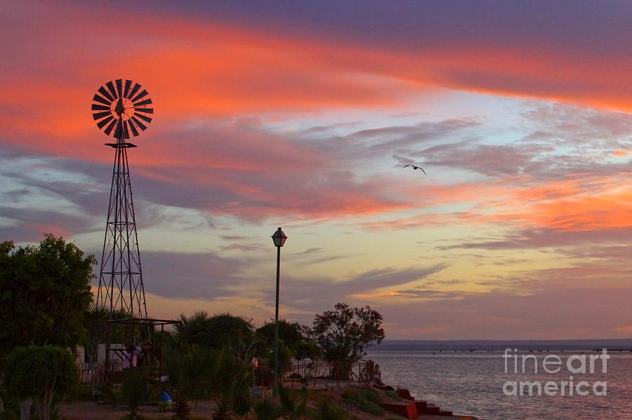 Windmill by the Sea Photograph by Robert McKinstry