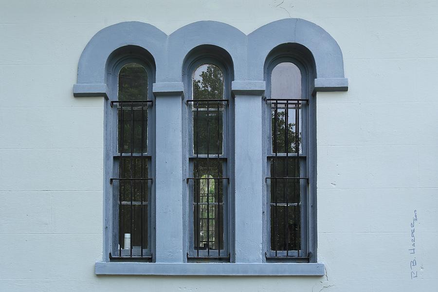 Window on Savannah #2 Photograph by R B Harper