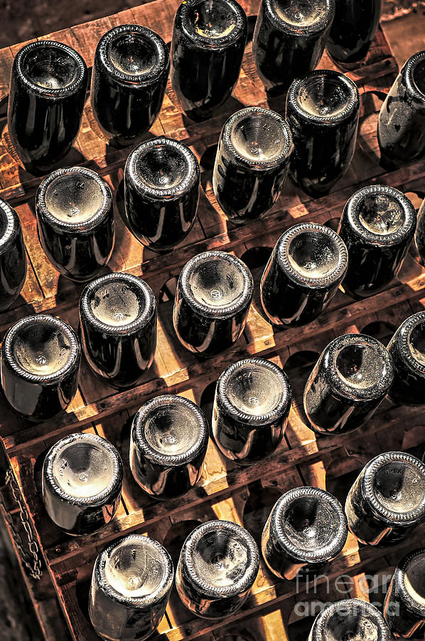 Wine bottles 2 Photograph by Elena Elisseeva