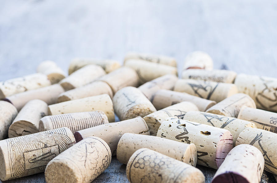 Wine corks #2 Photograph by Paulo Goncalves