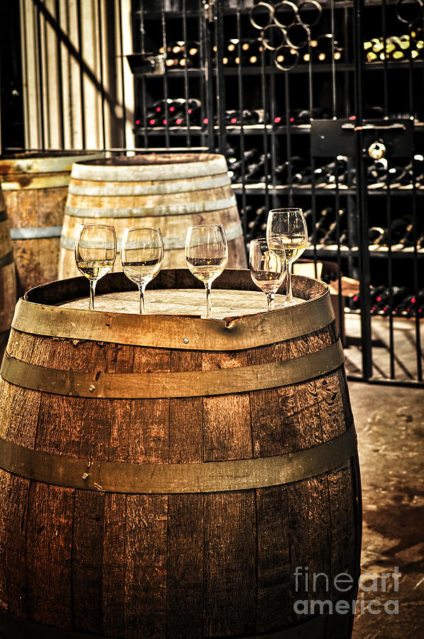 Wine  glasses and barrels Photograph by Elena Elisseeva
