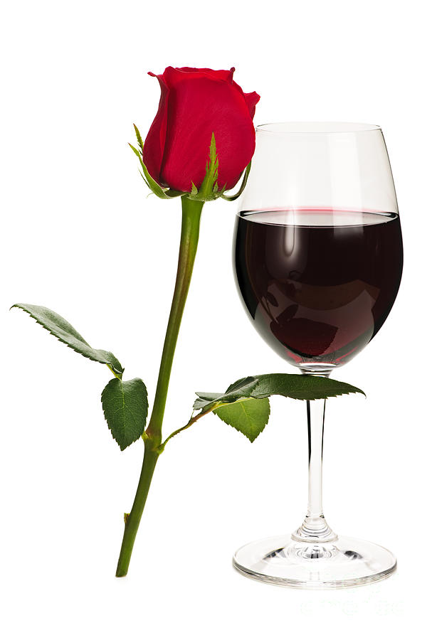 Wine with red rose 1 Photograph by Elena Elisseeva