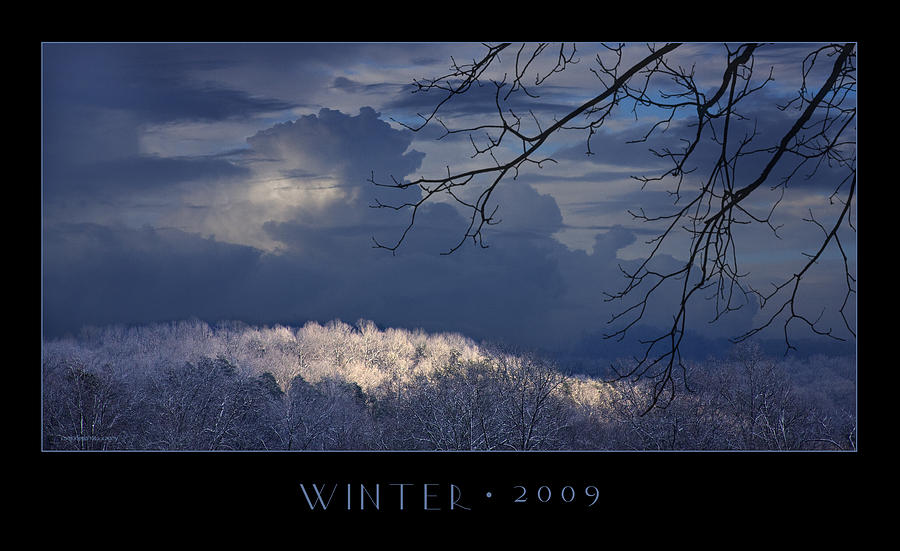 Nature Photograph - Winter 2009 #2 by Ron Jones