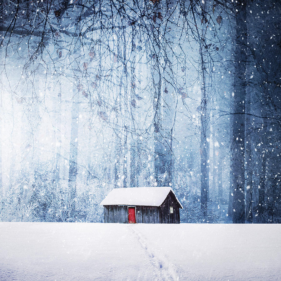 Winter Photograph - Winter #2 by Bess Hamiti