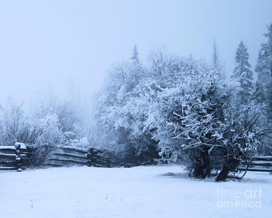 Winter Fenceline Photograph by Roland Stanke