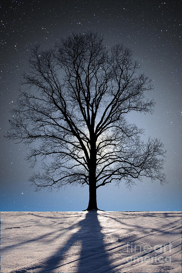 Winter Full Moon #4 Photograph by Larry Landolfi