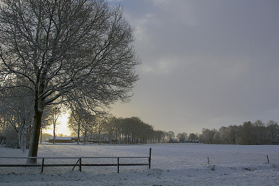Winter Photograph - Winter in the Netherlands #1 by Robert Van Es
