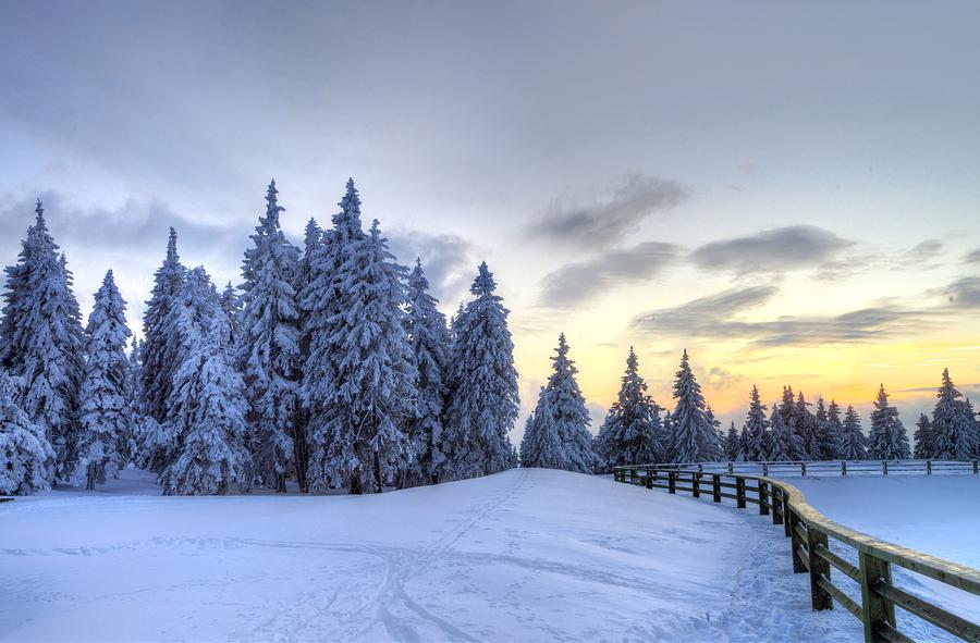 Winter  #2 Photograph by Ivan Slosar
