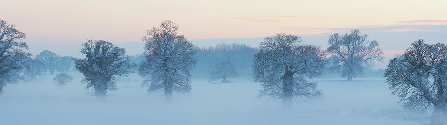 Winter #2 Photograph by Jeremy Walker