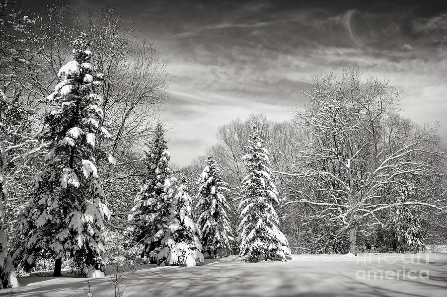 Winter landscape 1 Photograph by Elena Elisseeva