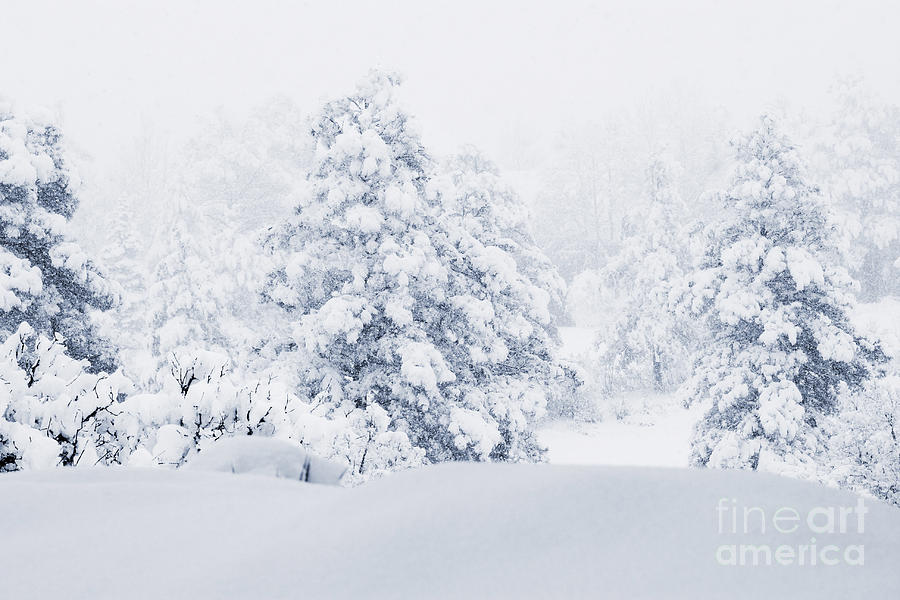 Winter Landscapes #2 Photograph by Steven Krull
