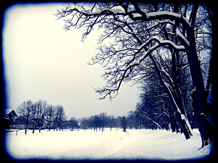 Winter #2 Photograph by Nina Ficur Feenan