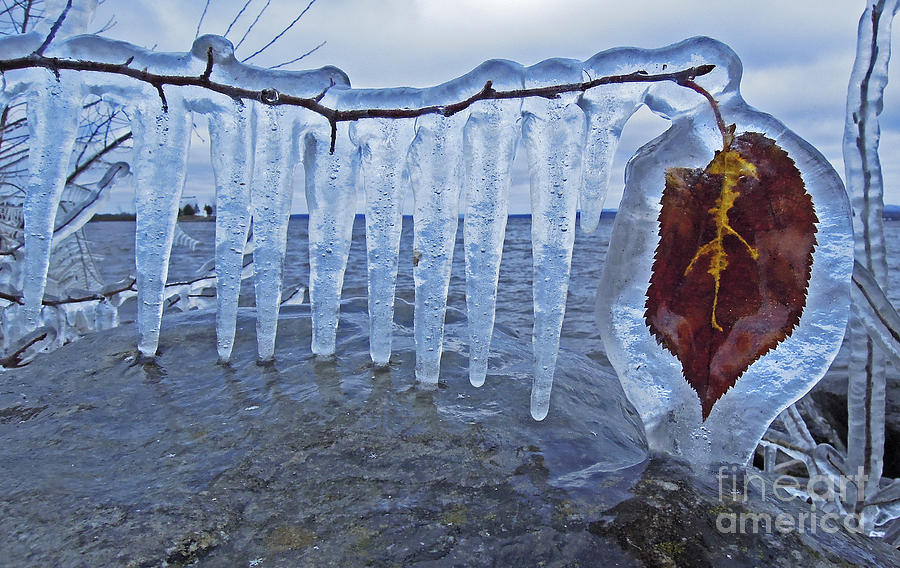 Nature Photograph - Winter... #1 by Nina Stavlund