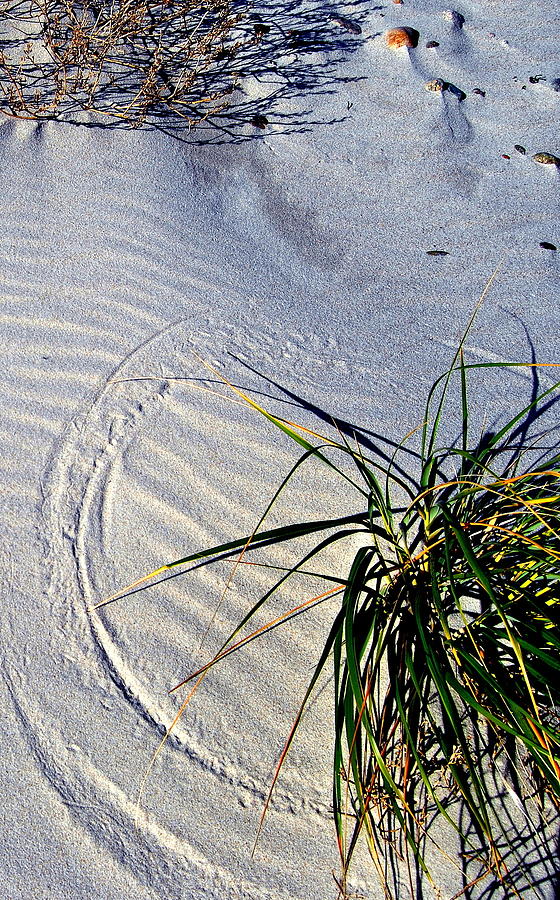 Winter Sand  Photograph by Marysue Ryan