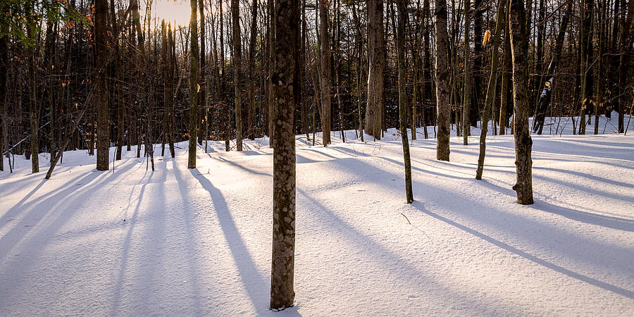 Winter Shadows #1 Photograph by Jeff Sinon