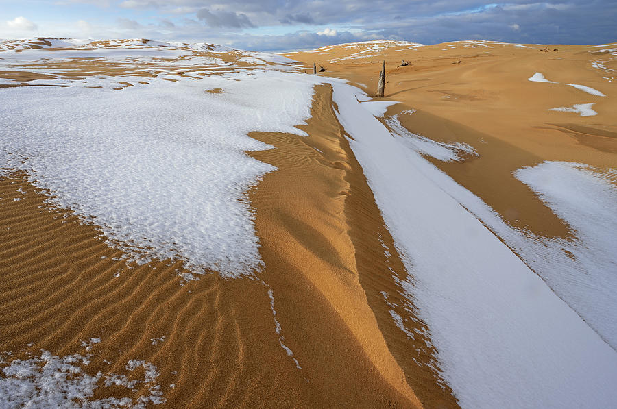 Winter Silver Lake Sand Dunes Photograph by Dean Pennala Fine Art America