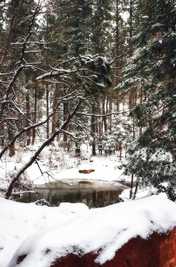 Winter Solitude  #2 Photograph by Saija Lehtonen