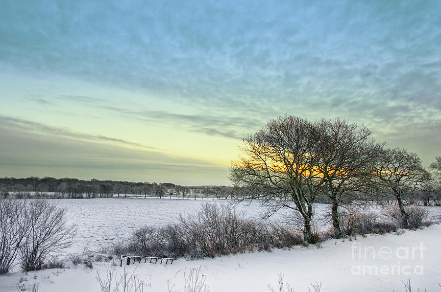 Winter Sunrise #2 Photograph by Antony McAulay