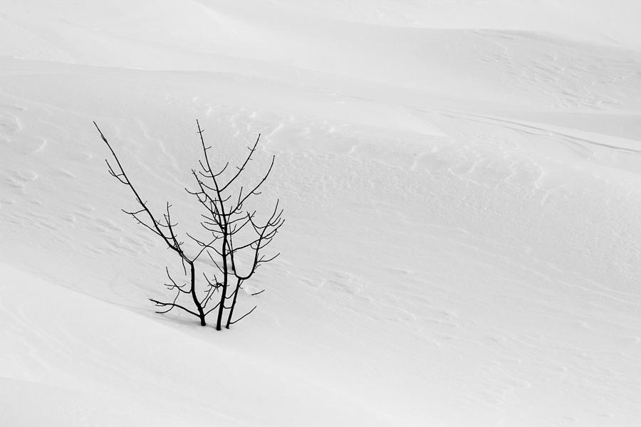 Winter wonderland #2 Photograph by Nick Mares