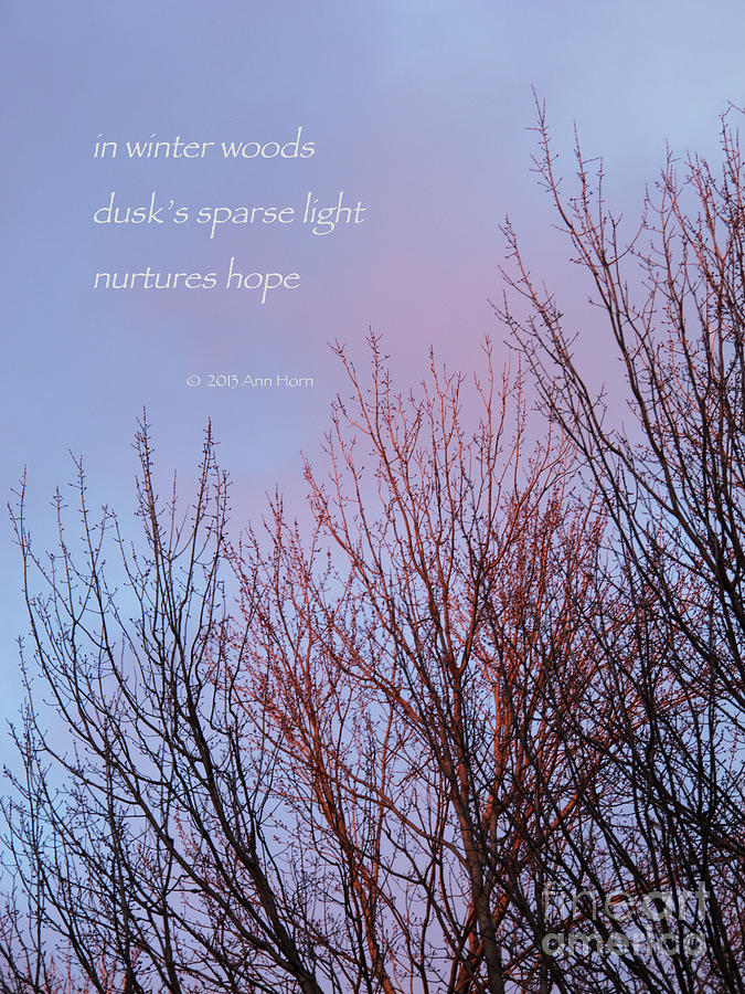 Winter Woods - Haiku Photograph by Ann Horn