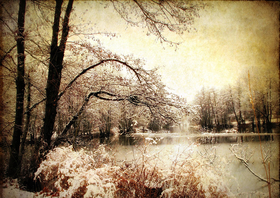 Winters Arrival  #2 Photograph by Jessica Jenney