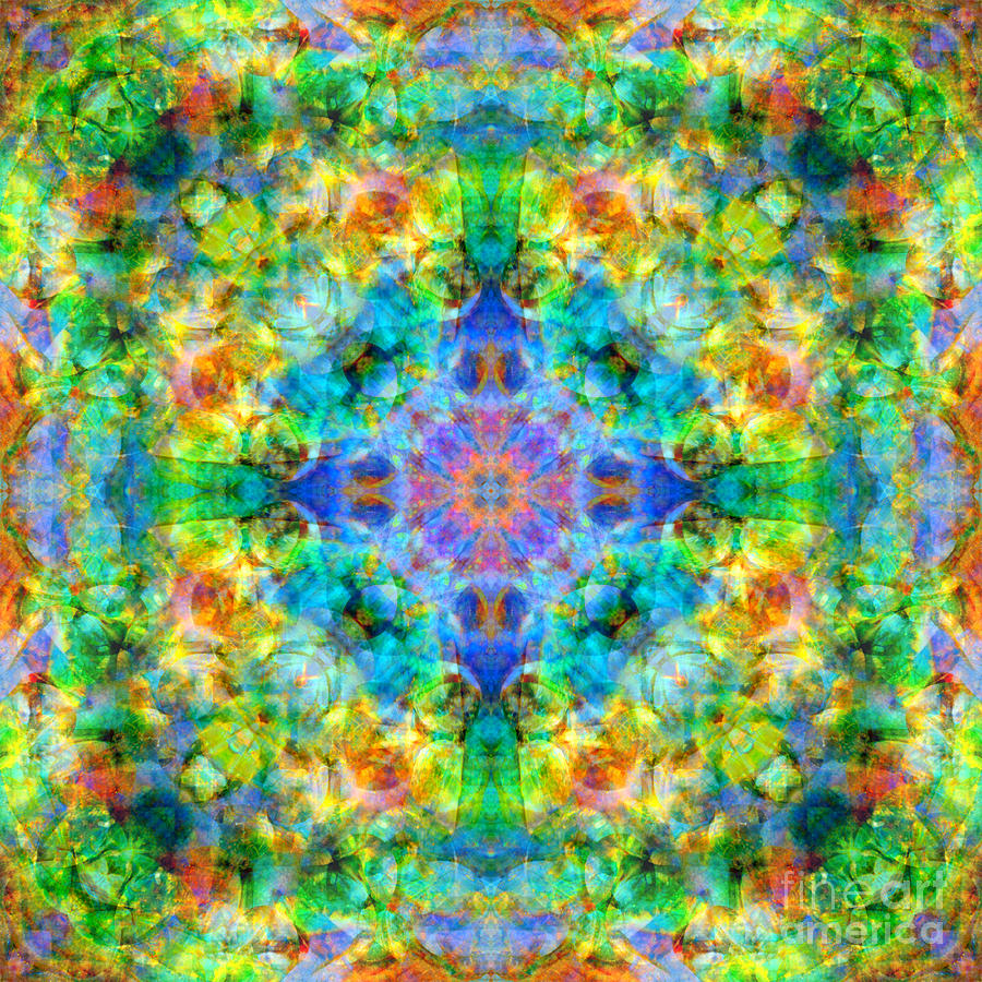 Wonderland Mandala Photograph by Susan Bloom - Fine Art America