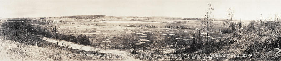 World War I Belleau Wood, 1918 #2 Photograph by Granger