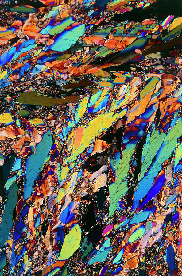 Xylitol Crystals #2 Photograph by Sidney Moulds/science Photo Library