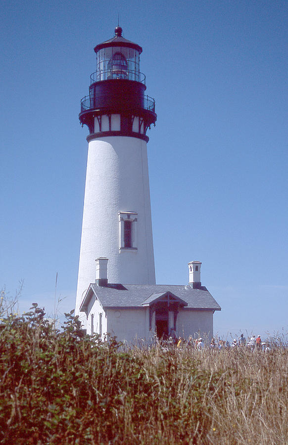 Yaquina Head Light Photograph by Herbert Gatewood - Fine Art America