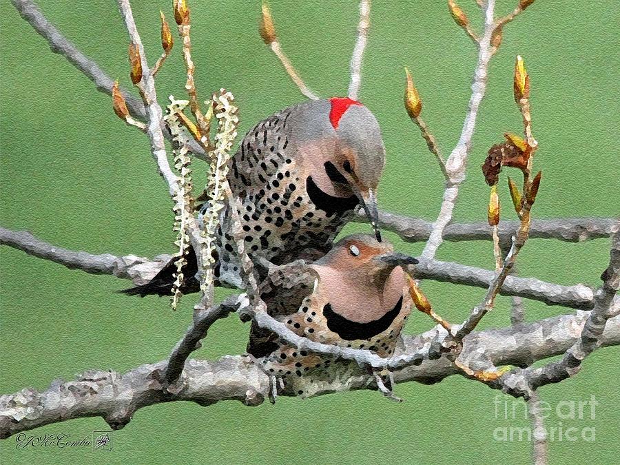 Nature Painting - Yellow-Shafted Northern Flickers #2 by J McCombie